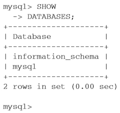 mysql程序