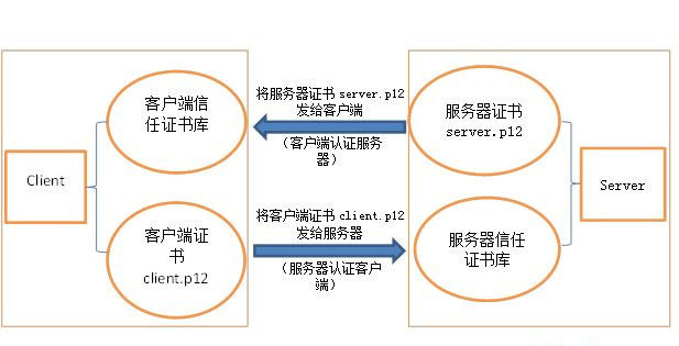 什么是SSL證書？它的作用是什么？一